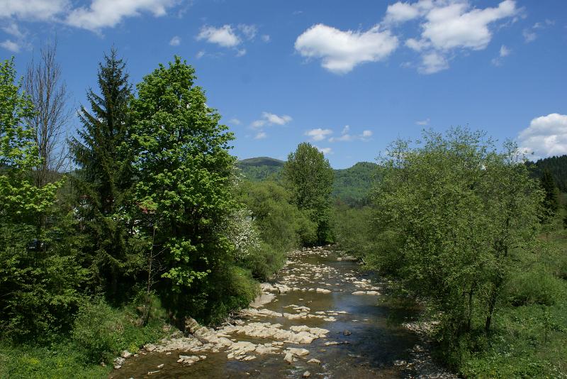 DSC00010.JPG