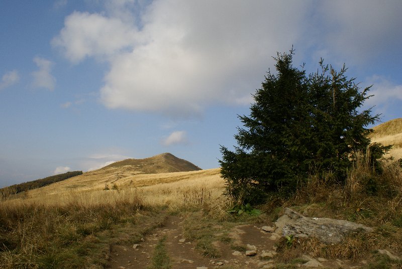 DSC06298.JPG
