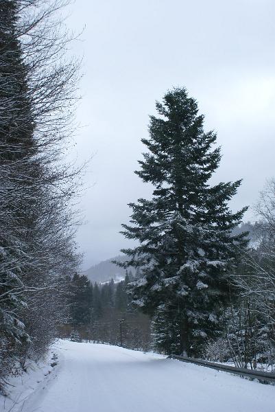 DSC09054.JPG