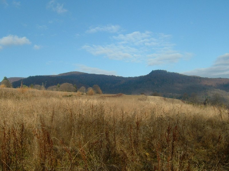 DSCF0036.JPG