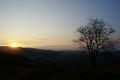 DSC03220