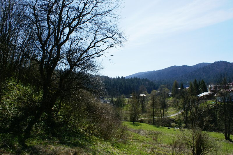 DSC09559.JPG