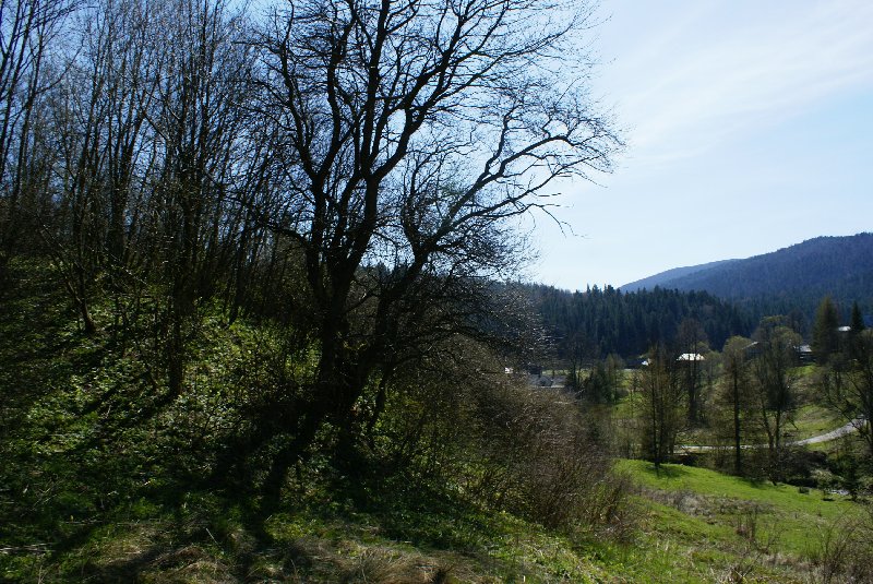 DSC09560.JPG