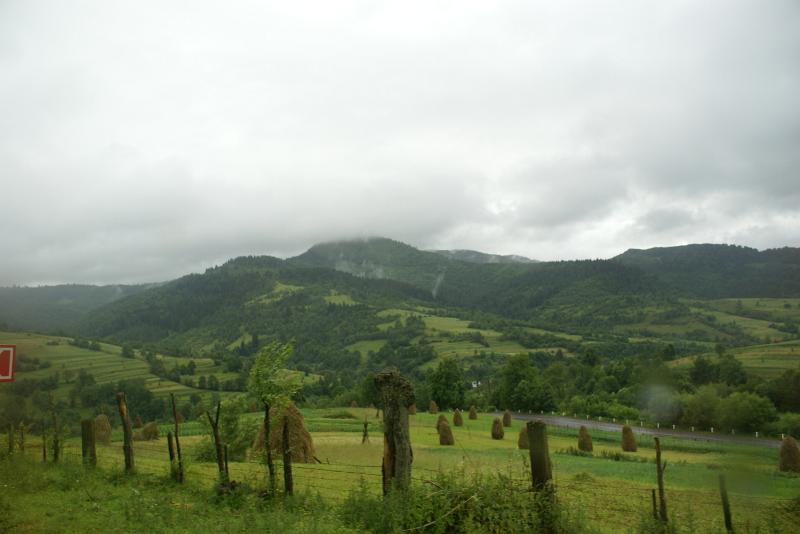 DSC04834.JPG