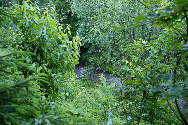 DSC04723.JPG