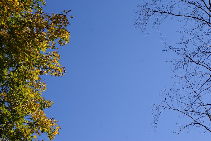 DSC06467.JPG