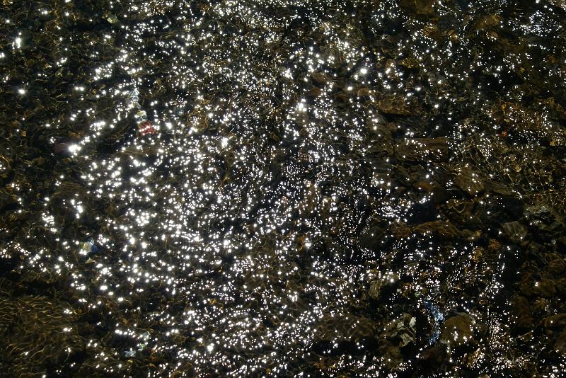 DSC09564.JPG